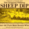 sheep-dip-vatted-malt-8-yo